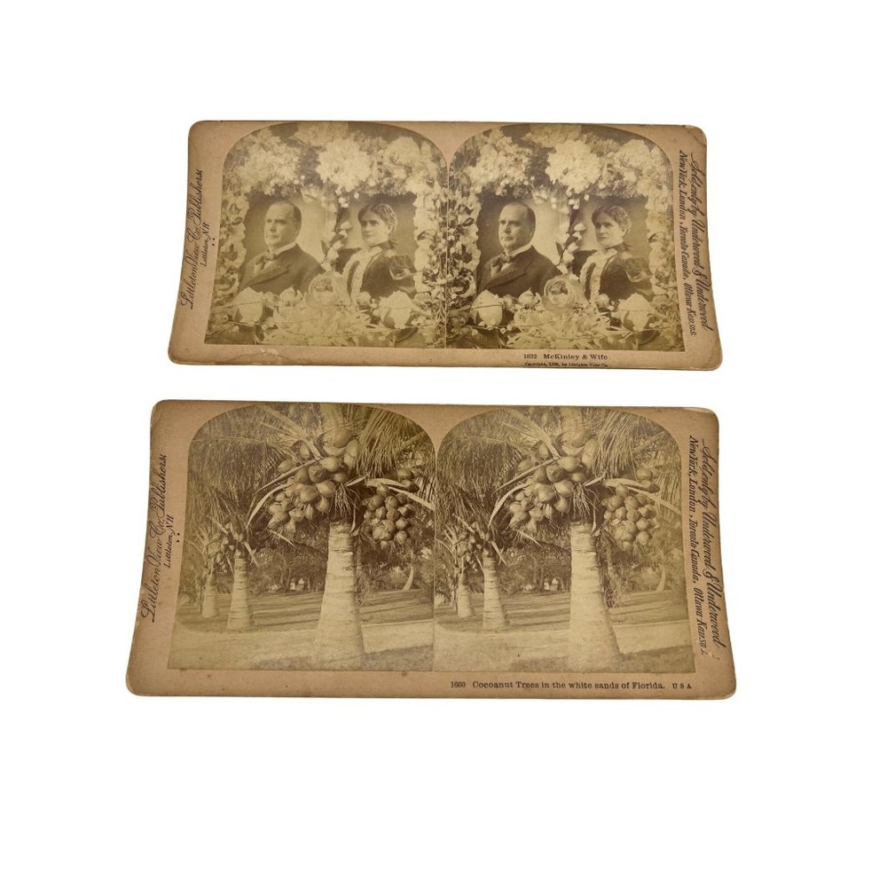2 Littleton View Co Stereoview Cards President McKinley & Wife + Cocoanut Trees